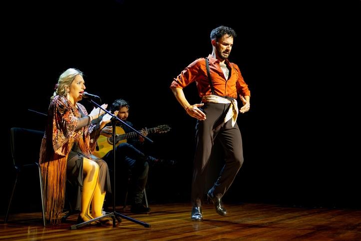 4 flamenco venues in Marbella you cant miss