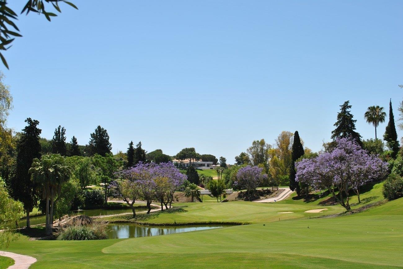 Aloha Golf Club in Marbella: Discover this exclusive private Golf Club