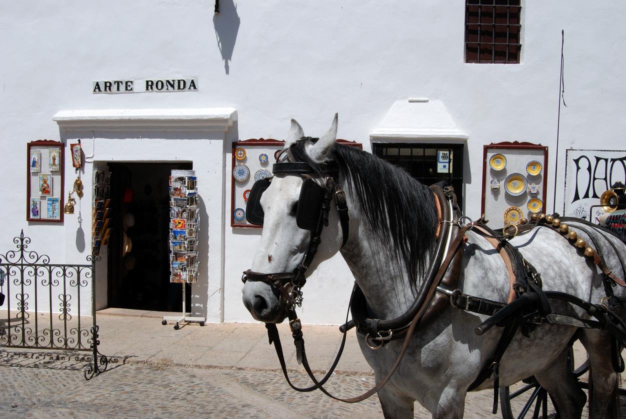 Planes para disfrutar de septiembre en Marbella