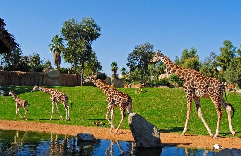 Qué hacer en Marbella con niños este verano: guía de actividades en la Costa del Sol Qué hacer en Marbella con niños este verano: guía de actividades en la Costa del Sol