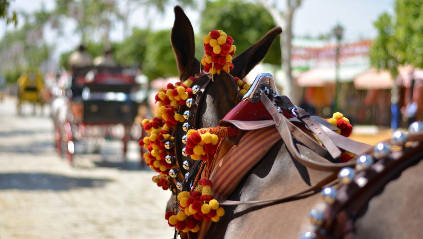 Feria Málaga 2025: a guide to enjoying a day in the capital Feria Málaga 2025: a guide to enjoying a day in the capital