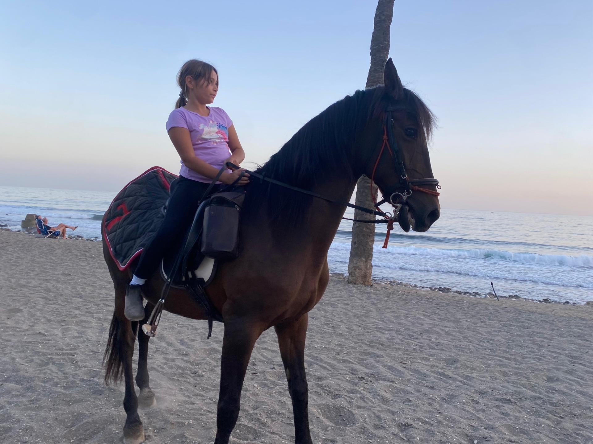 Horseback riding in Marbella: enjoy nature on unique routes
