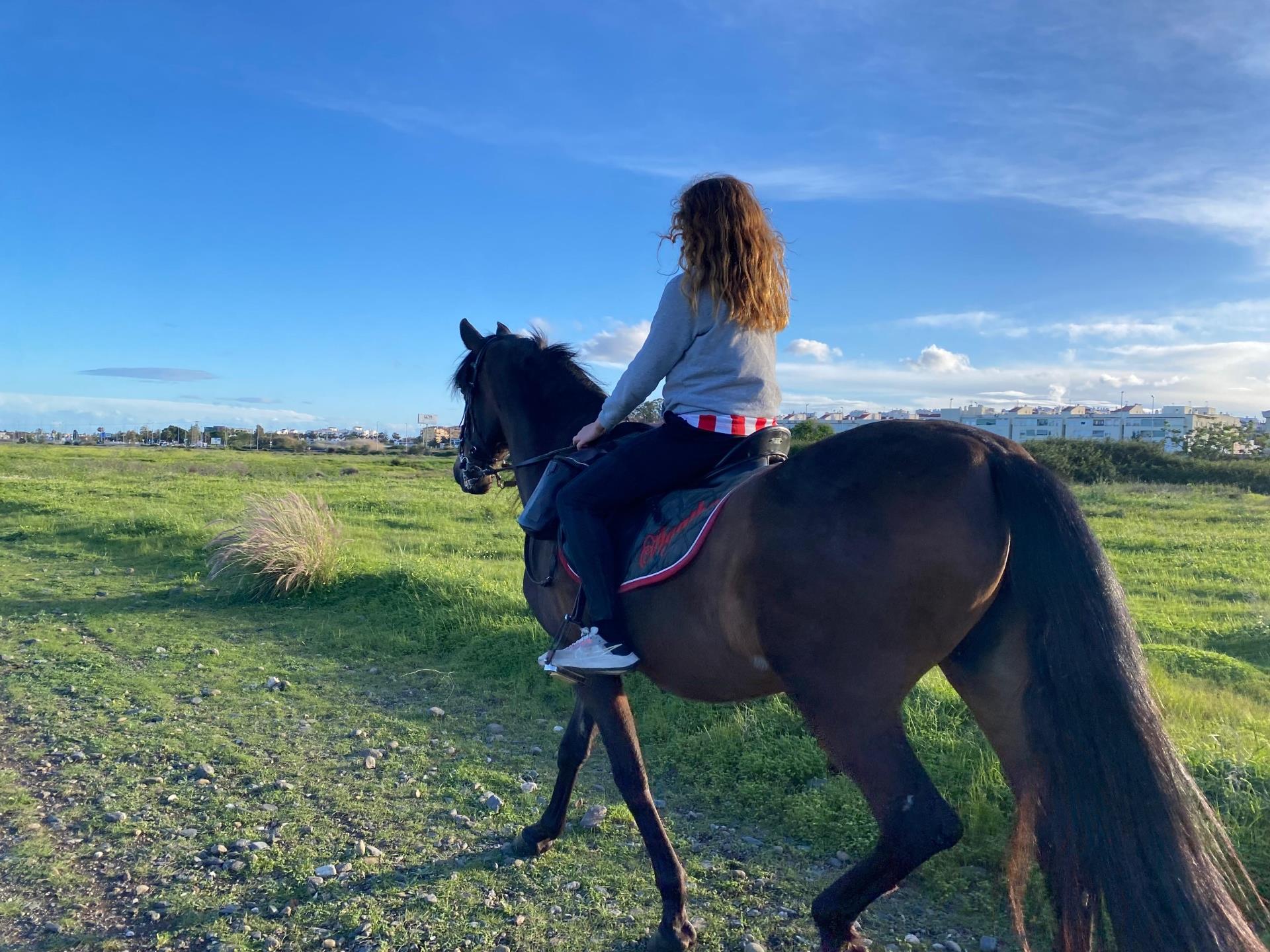Horseback riding in Marbella: enjoy nature on unique routes